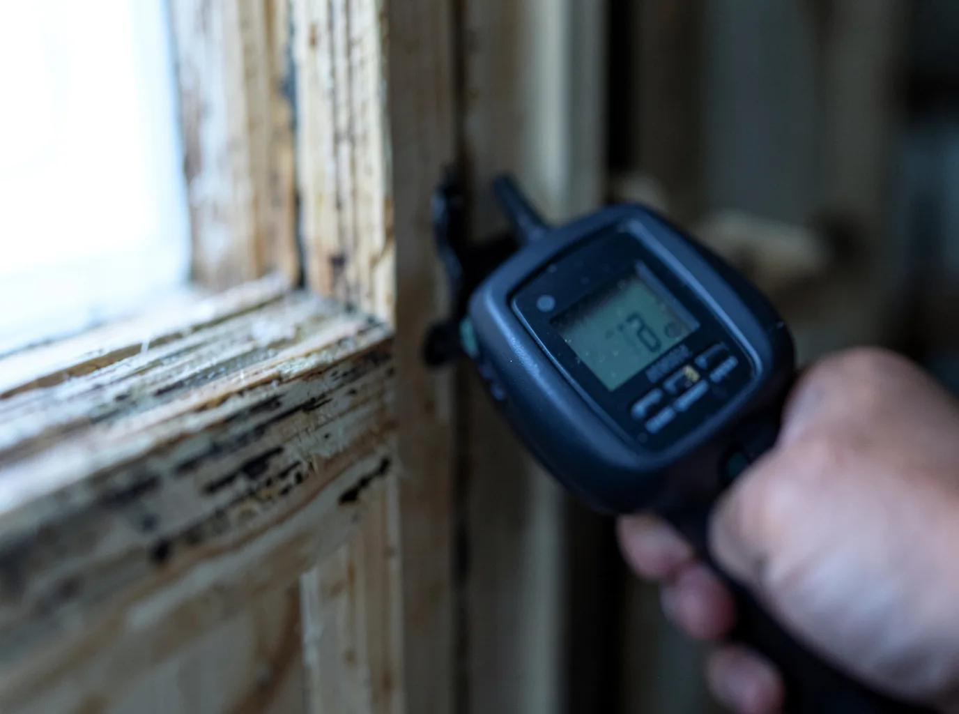 Moisture Inspection And Documentation in Newcastle, UT
